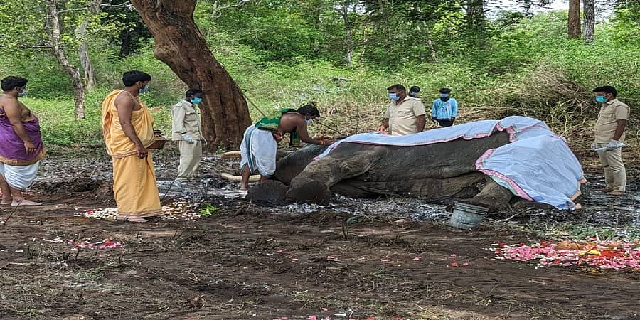 ಸಕಲ ಸರ್ಕಾರಿ ಗೌರವಗಳೊಂದಿಗೆ 'ಬಲರಾಮ'ನಿಗೆ ವಿದಾಯ: ಪ್ರಧಾನಿ ಕಂಬನಿ