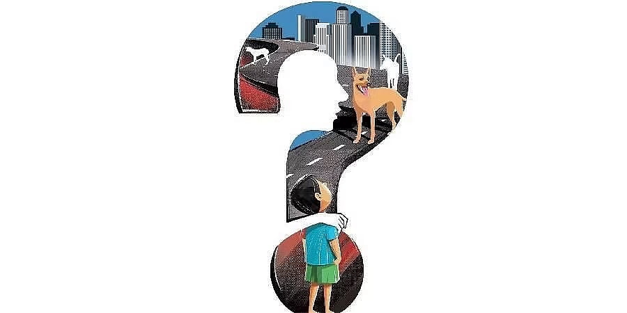 ಬೆಂಗಳೂರು: ಪ್ರತ್ಯೇಕ ಪ್ರಕರಣದಲ್ಲಿ ಇಬ್ಬರು ಮಕ್ಕಳಿಗೆ ನಾಯಿ ಕಡಿತ
