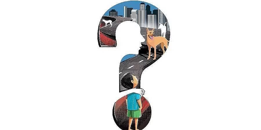 ಬೆಂಗಳೂರು: ಪ್ರತ್ಯೇಕ ಪ್ರಕರಣದಲ್ಲಿ ಇಬ್ಬರು ಮಕ್ಕಳಿಗೆ ನಾಯಿ ಕಡಿತ