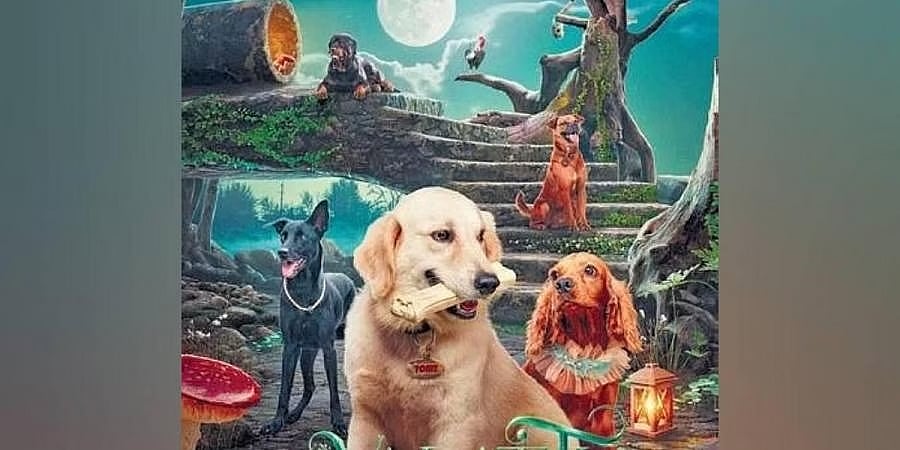 ಶ್ವಾನಗಳೇ ನಟಿಸಿರುವ ಮಲಯಾಳಂ ಸಿನಿಮಾ ವಿತರಣಾ ಹಕ್ಕು ಕನ್ನಡದ ಕೆಆರ್ಜಿ ಸ್ಟುಡಿಯೋಸ್ ಪಾಲು!