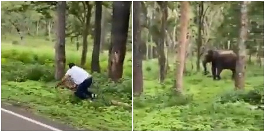 ಕಾಡಾನೆಯ ಫೋಟೋ-ವಿಡಿಯೊ ತೆಗೆಯಲೆಂದು ಹೋದ ಪ್ರವಾಸಿಗನಿಗೆ ಏನಾಯ್ತು ನೋಡಿ....