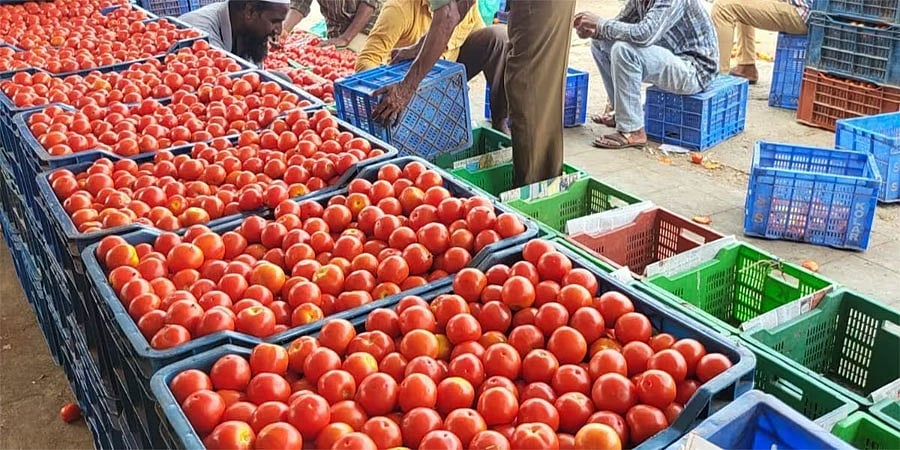 ಉತ್ತರ ಭಾರತದಲ್ಲಿ ದ್ವಿಶತಕ ಬಾರಿಸಿದ ಟೊಮೆಟೋ ದರ; ಕರ್ನಾಟಕ ಸೇರಿ ದಕ್ಷಿಣದ ರಾಜ್ಯಗಳಿಂದ ಸಂಗ್ರಹಿಸುವಂತೆ 'ಕೇಂದ್ರ' ಸೂಚನೆ!!