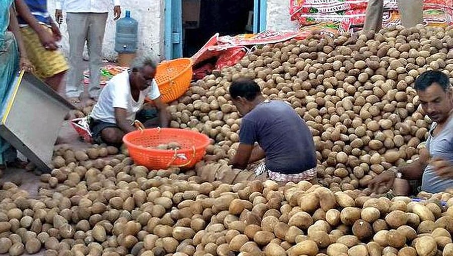 ಪ್ರತಿ ಕ್ವಿಂಟಾಲ್ ಉಂಡೆ ಕೊಬ್ಬರಿಗೆ 1,250 ರೂ. ಪ್ರೋತ್ಸಾಹ ಧನ: ರಾಜ್ಯ ಸರ್ಕಾರ ಘೋಷಣೆ