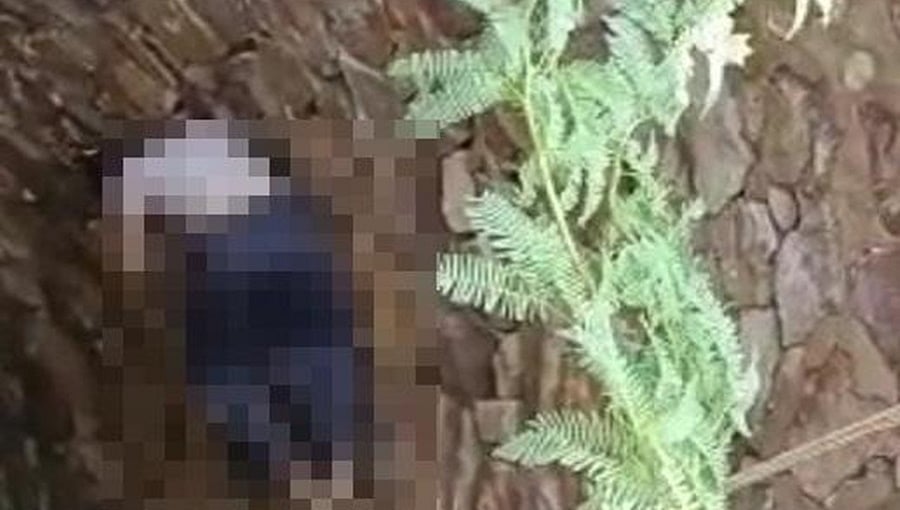ಕರೌಲಿ: ಪ್ರೇಮ ಪ್ರಕರಣದಲ್ಲಿ ದಲಿತ ಬಾಲಕಿ ಹತ್ಯೆ, ಪ್ರಮುಖ ಆರೋಪಿ ಬಂಧನ