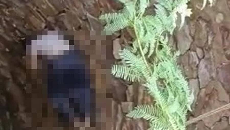 ಕರೌಲಿ: ಪ್ರೇಮ ಪ್ರಕರಣದಲ್ಲಿ ದಲಿತ ಬಾಲಕಿ ಹತ್ಯೆ, ಪ್ರಮುಖ ಆರೋಪಿ ಬಂಧನ