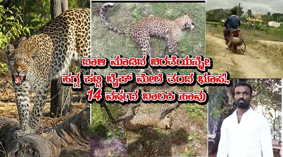 ದಾಳಿ ಮಾಡಿದ ಚಿರತೆಯನ್ನೇ ಹಗ್ಗ ಕಟ್ಟಿ ಬೈಕ್ ಮೇಲೆ ತಂದ ಭೂಪ!