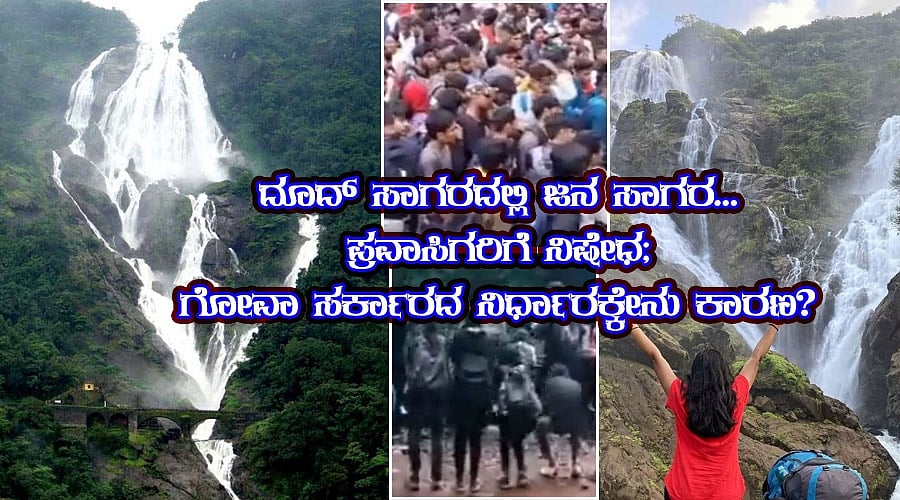 ದೂದ್ ಸಾಗರದಲ್ಲಿ ಜನ ಸಾಗರ...ಪ್ರವಾಸಿಗರಿಗೆ ನಿಷೇಧ; ಗೋವಾ ಸರ್ಕಾರದ ನಿರ್ಧಾರಕ್ಕೇನು ಕಾರಣ?