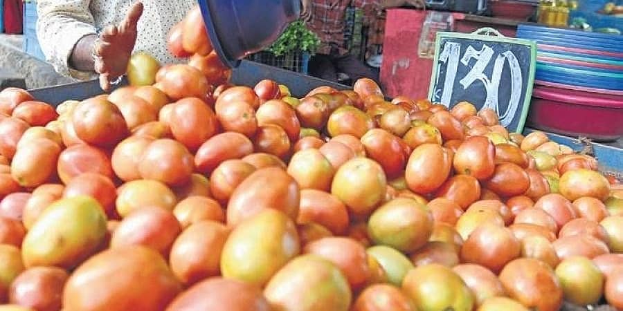 ಭಾರಿ ಮಳೆಯಿಂದಾಗಿ ಕರ್ನಾಟಕದಲ್ಲಿ ಟೊಮೇಟೊ ಬೆಲೆ ಮತ್ತಷ್ಟು ಏರಿಕೆ ಸಾಧ್ಯತೆ!