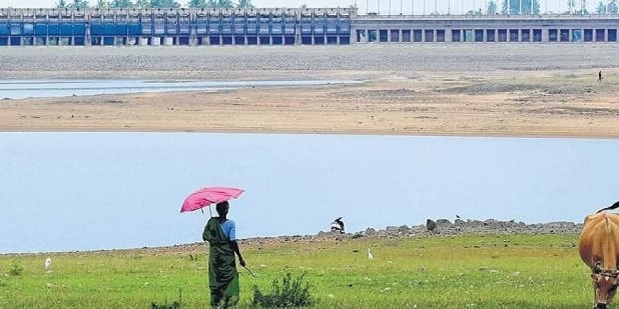 ಕಾವೇರಿ ಜಲಾನಯನ ಪ್ರದೇಶದಲ್ಲಿ ತಗ್ಗಿದ ನೀರಿನ ಮಟ್ಟ: ತಮಿಳು ನಾಡು ಜೊತೆ ಮತ್ತೆ ಸಂಘರ್ಷ ಸಾಧ್ಯತೆ