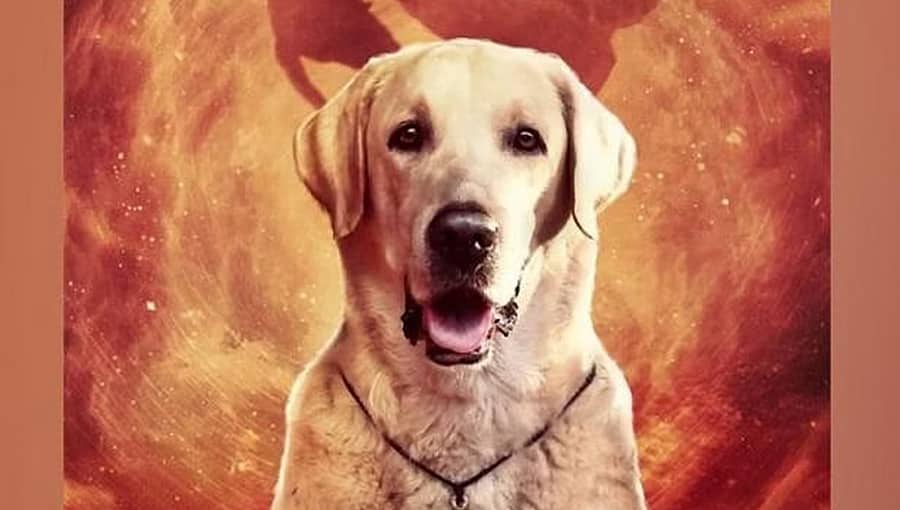 'ನಾನು ಮತ್ತು ಗುಂಡಾ 2' ಚಿತ್ರೀಕರಣ ಆರಂಭ: ಚಿತ್ರದಲ್ಲಿ ನಾಯಿ ಪಾತ್ರವೇ ಹೈಲೈಟ್