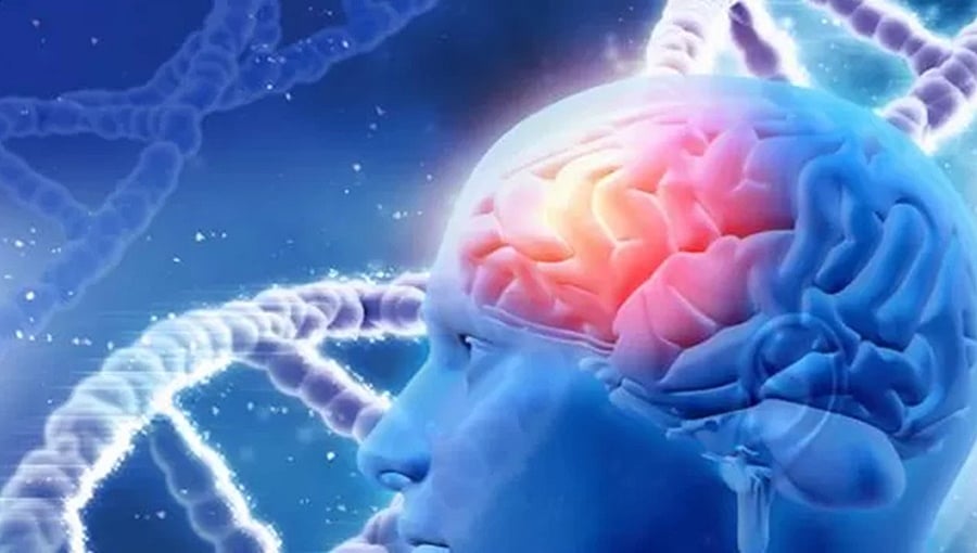 ಆಲ್ಝೈಮರ್ಸ್ ಕಾಯಿಲೆ ಅಥವಾ Alzheimer's Disease (ಕುಶಲವೇ ಕ್ಷೇಮವೇ)