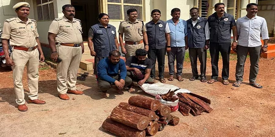 ಮಂಗಳೂರು: ಅಕ್ರಮವಾಗಿ ಸಾಗಿಸುತ್ತಿದ್ದ 125 ಕೆಜಿ ರಕ್ತ ಚಂದನ ವಶ, ಇಬ್ಬರ ಬಂಧನ