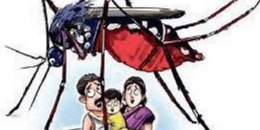 ನಗರದಲ್ಲಿ ಡೆಂಗ್ಯೂ ಉಲ್ಭಣ: ಬಿಬಿಎಂಪಿಯಿಂದ ಸಮೀಕ್ಷೆ, ಜಾಗೃತಿ ಕಾರ್ಯಕ್ರಮಗಳು ಆರಂಭ