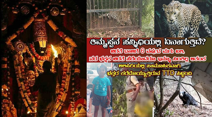 ತಿಮ್ಮಪ್ಪನ ಸನ್ನಿಧಿಯಲ್ಲಿ ಏನಾಗುತ್ತಿದೆ? 6 ವರ್ಷದ ಮಗು ಬಲಿ, ನರ ಭಕ್ಷಕ ಚಿರತೆ ಸೆರೆಯಾದರೂ ನಿಂತಿಲ್ಲ ಆತಂಕ