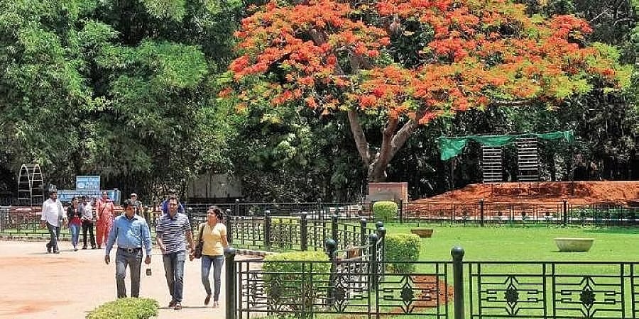 ಲಾಲ್ ಬಾಗ್'ನಲ್ಲಿ ಮಿನಿ ಪಶ್ಚಿಮ ಘಟ್ಟ ನಿರ್ಮಾಣ!