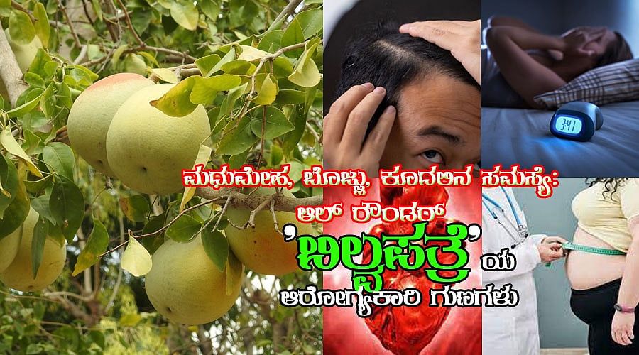 ಮಧುಮೇಹ, ಬೊಜ್ಜು, ಕೂದಲಿನ ಸಮಸ್ಯೆ: ಆಲ್ ರೌಂಡರ್ 'ಬಿಲ್ವಪತ್ರೆ'ಯ ಆರೋಗ್ಯಕಾರಿ ಗುಣಗಳು 