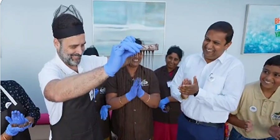 ತಮಿಳುನಾಡು: ಊಟಿಯ ಪ್ರಸಿದ್ಧ ಚಾಕೊಲೇಟ್ ತಯಾರಿಕಾ ಕಾರ್ಖಾನೆಗೆ ಭೇಟಿ ನೀಡಿದ ರಾಹುಲ್ ಗಾಂಧಿ- ವಿಡಿಯೋ