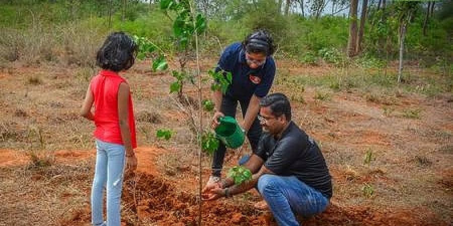 ಪ್ರಕೃತಿಗೆ ಕಿರು ಕಾಣಿಕೆ ನೀಡುವ ಪ್ರಯತ್ನ: 'SER' ಸಂಸ್ಥೆಯಿಂದ ಗಿಡ ನೆಡುವ ಮಹತ್ತರ ಕಾರ್ಯ
