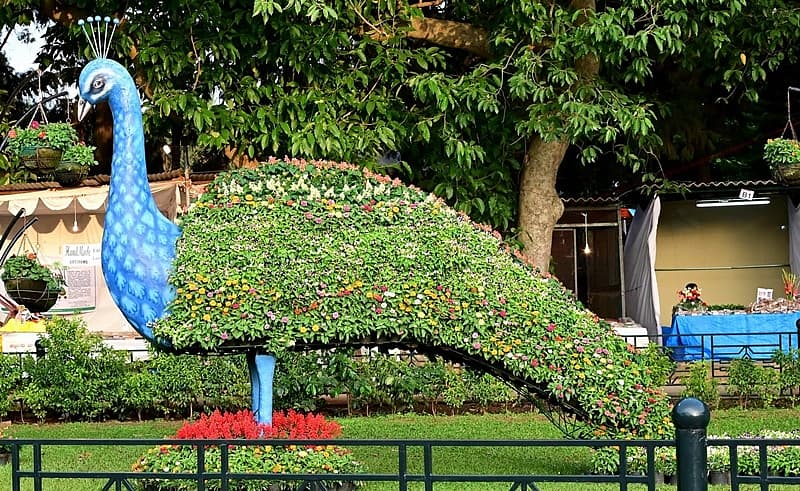 ಸ್ವಾತಂತ್ರ್ಯೋತ್ಸವ ಫಲಪುಷ್ಪ ಪ್ರದರ್ಶನ