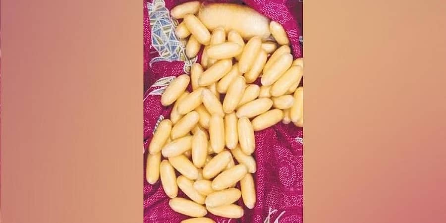 12 ಕೋಟಿ ರೂ. ಮೌಲ್ಯದ ಕೊಕೇನ್ ಸಾಗಣೆಗೆ ಯತ್ನ; ಬೆಂಗಳೂರು ವಿಮಾನ ನಿಲ್ದಾಣದಲ್ಲಿ ಕೀನ್ಯಾದ ಮಹಿಳೆ ಬಂಧನ