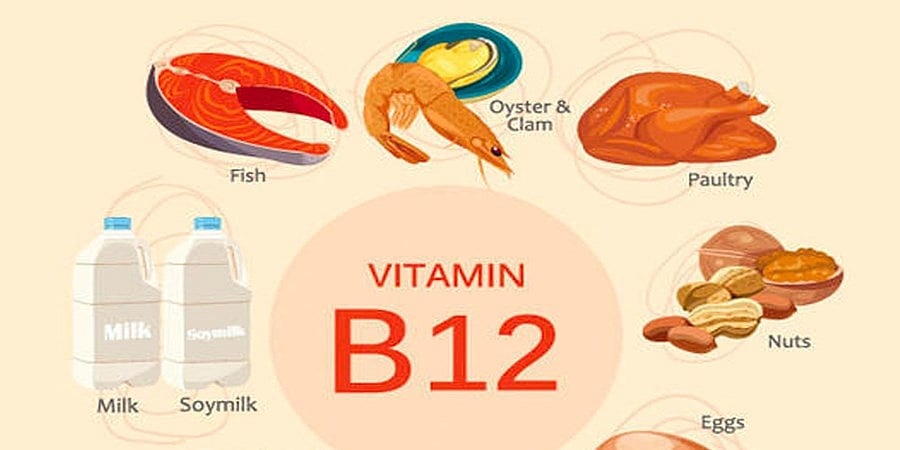 ಉತ್ತಮ ಆರೋಗ್ಯಕ್ಕೆ ವಿಟಮಿನ್ B12, ಪ್ರೋಟಿನ್ ಎಷ್ಟು ಮುಖ್ಯ? (ಕುಶಲವೇ ಕ್ಷೇಮವೇ)