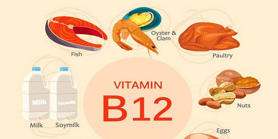 ಉತ್ತಮ ಆರೋಗ್ಯಕ್ಕೆ ವಿಟಮಿನ್ B12, ಪ್ರೋಟಿನ್ ಎಷ್ಟು ಮುಖ್ಯ? (ಕುಶಲವೇ ಕ್ಷೇಮವೇ)