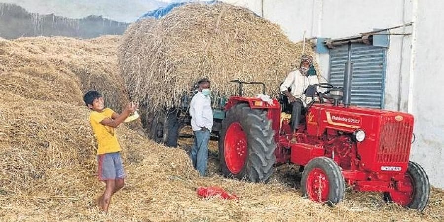ಮುಂಗಾರು ವೈಫಲ್ಯ-ಬರ: ನೆರೆಯ ರಾಜ್ಯಗಳಿಗೆ ಮೇವು ಮಾರಾಟ ಮತ್ತು ಸಾಗಣೆಗೆ ಸರ್ಕಾರ ನಿಷೇಧ