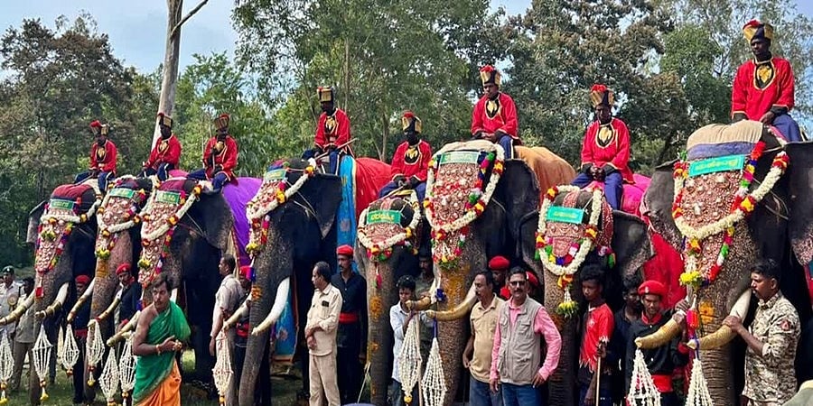 ಮೈಸೂರು ದಸರಾ: ಇಂದು ಮಧ್ಯಾಹ್ನ ಅರಮನೆ ಪ್ರವೇಶಿಸಲಿರುವ ಗಜಪಡೆ, ರಾಜವಂಶಸ್ಥರಿಂದ ಪೂಜೆ