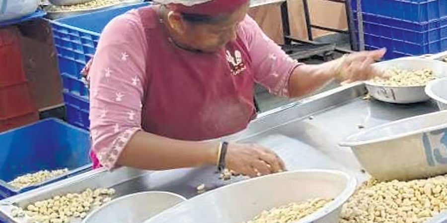 ಹಡಗುಗಳ ಮೇಲೆ ಹೌತಿ ದಾಳಿ: ದಕ್ಷಿಣ ಕನ್ನಡದಿಂದ ಗೋಡಂಬಿ ರಫ್ತಿನ ಮೇಲೆ ತೀವ್ರ ಪರಿಣಾಮ