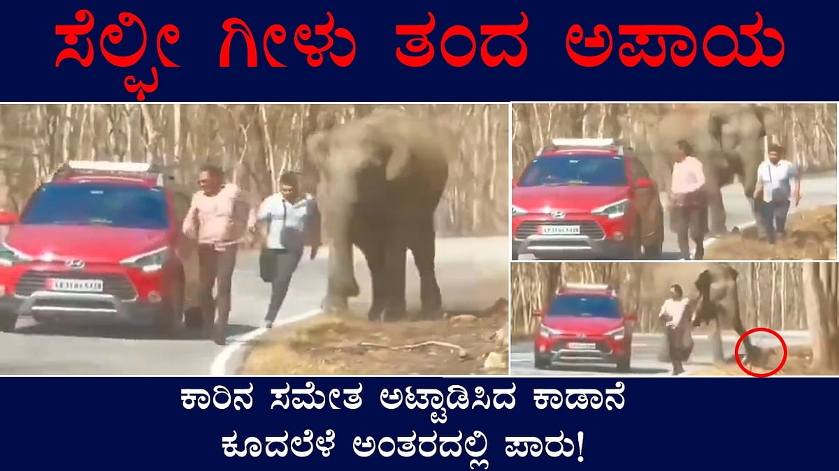 ಸೆಲ್ಫೀ ಗೀಳು ತಂದ ಅಪಾಯ: ಅಟ್ಟಾಡಿಸಿದ ಕಾಡಾನೆ, ಕೂದಲೆಳೆ ಅಂತರದಲ್ಲಿ ಪಾರು!
