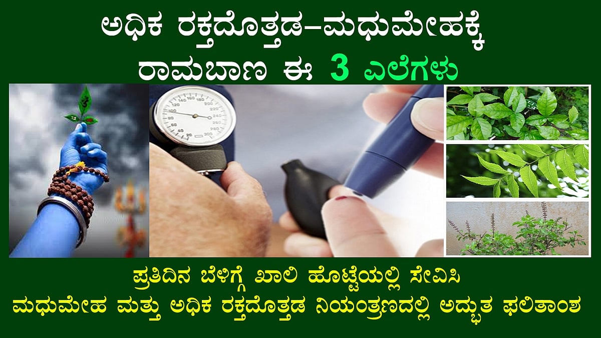 ಅಧಿಕ ರಕ್ತದೊತ್ತಡ-ಮಧುಮೇಹಕ್ಕೆ ರಾಮಬಾಣ ಈ ಮೂರು ಎಲೆಗಳು