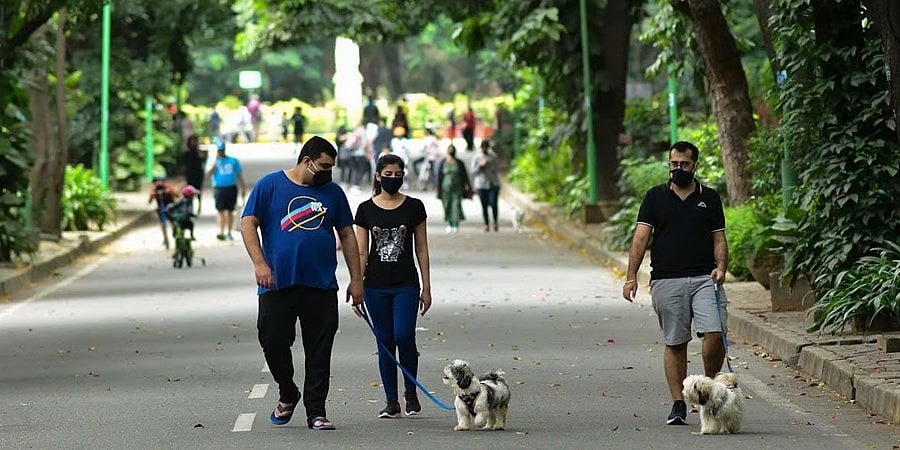 ಬೆಂಗಳೂರು: ಇನ್ನು ಮುಂದೆ ಎಲ್ಲಾ ಶನಿವಾರಗಳಂದು ಕಬ್ಬನ್ ಪಾರ್ಕ್ ನಲ್ಲಿ ವಾಹನ ಸಂಚಾರಕ್ಕೆ ಅನುಮತಿ