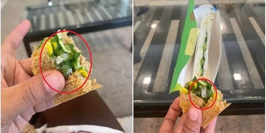 ಇಂಡಿಗೋ ವಿಮಾನದಲ್ಲಿ ನೀಡಿದ ಸ್ಯಾಂಡ್‌ವಿಚ್‌ನಲ್ಲಿ ಸ್ಕ್ರೂ ಪತ್ತೆ!