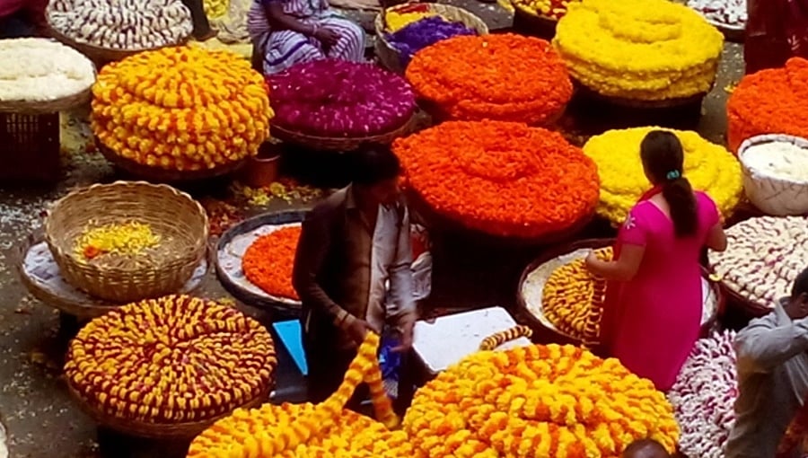 ಬಜೆಟ್'ನಲ್ಲಿ ಬೆಂಗಳೂರಿಗೆ ವಿಶ್ವದರ್ಜೆಯ ಹೂವಿನ ಮಾರುಕಟ್ಟೆ ಘೋಷಣೆ ಮಾಡಿ: ಸರ್ಕಾರಕ್ಕೆ ಪರಿಷತ್ ಸದಸ್ಯ ದಿನೇಶ್ ಗೂಳಿಗೌಡ ಆಗ್ರಹ