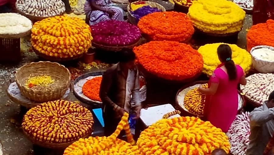 ಬಜೆಟ್'ನಲ್ಲಿ ಬೆಂಗಳೂರಿಗೆ ವಿಶ್ವದರ್ಜೆಯ ಹೂವಿನ ಮಾರುಕಟ್ಟೆ ಘೋಷಣೆ ಮಾಡಿ: ಸರ್ಕಾರಕ್ಕೆ ಪರಿಷತ್ ಸದಸ್ಯ ದಿನೇಶ್ ಗೂಳಿಗೌಡ ಆಗ್ರಹ