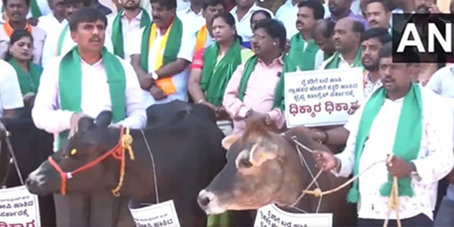 ಬೆಂಗಳೂರು: ಹಾಲಿನ ಸಬ್ಸಿಡಿ ಬಿಡುಗಡೆಗೆ ಒತ್ತಾಯಿಸಿ ಗೋವುಗಳೊಂದಿಗೆ ಬಿಜೆಪಿ ಕಾರ್ಯಕರ್ತರ ಪ್ರತಿಭಟನೆ