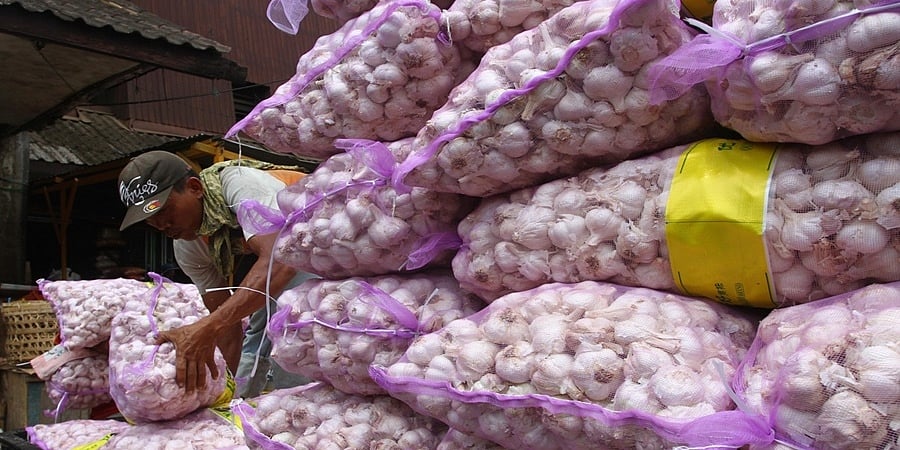 ಬೆಳ್ಳುಳ್ಳಿ ಬೆಲೆ ಗಗನಕ್ಕೆ: ಪೂರೈಕೆಯಲ್ಲಿ ಶೇ. 50 ರಷ್ಟು ಕುಸಿತ, ಪ್ರತಿ ಕೆಜಿ 350 ರೂ.ಗೆ ಏರಿಕೆ!