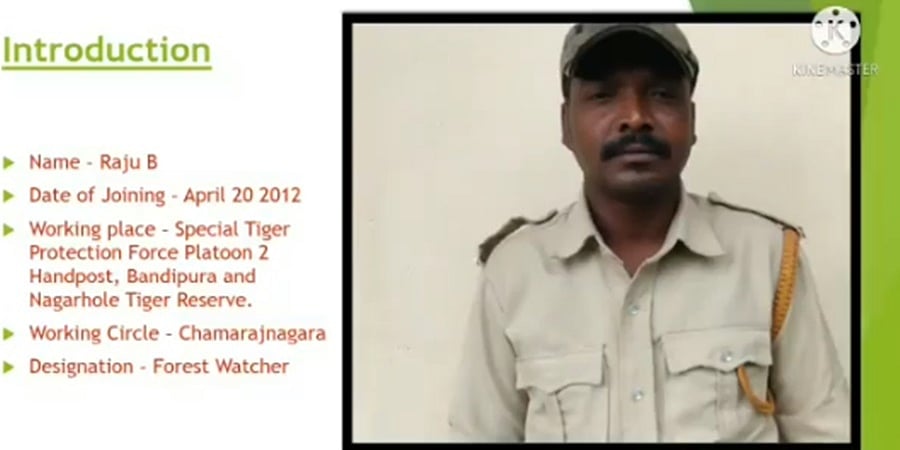 ಮೈಸೂರು: ಕಾಡಾನೆ ದಾಳಿಗೆ ಅರಣ್ಯ ವೀಕ್ಷಕ ಬಲಿ