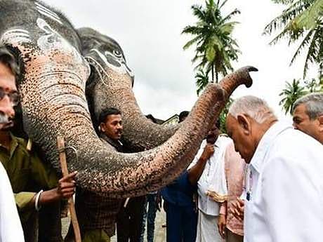 Story image