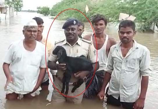 Story image