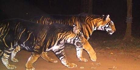 Story image