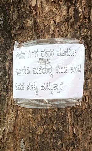 Story image