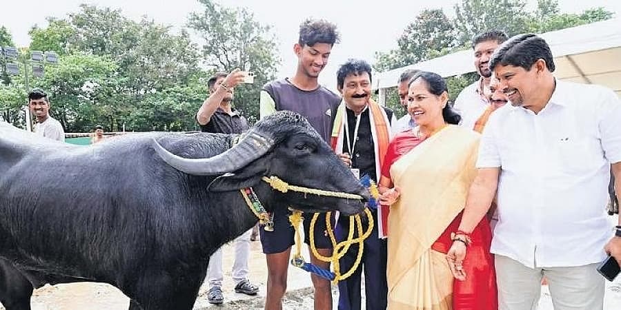 Story image