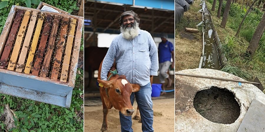<strong>ಅಕ್ಷಯಕಲ್ಪದಲ್ಲಿ ಜೇನು ಪೆಟ್ಟಿಗೆ; ಶಶಿಕುಮಾರ್, ಸಿಇಒ; ಜೈವಿಕ ಅನಿಲ ಮತ್ತು ಗೊಬ್ಬರ ಉತ್ಪಾದನೆ</strong>